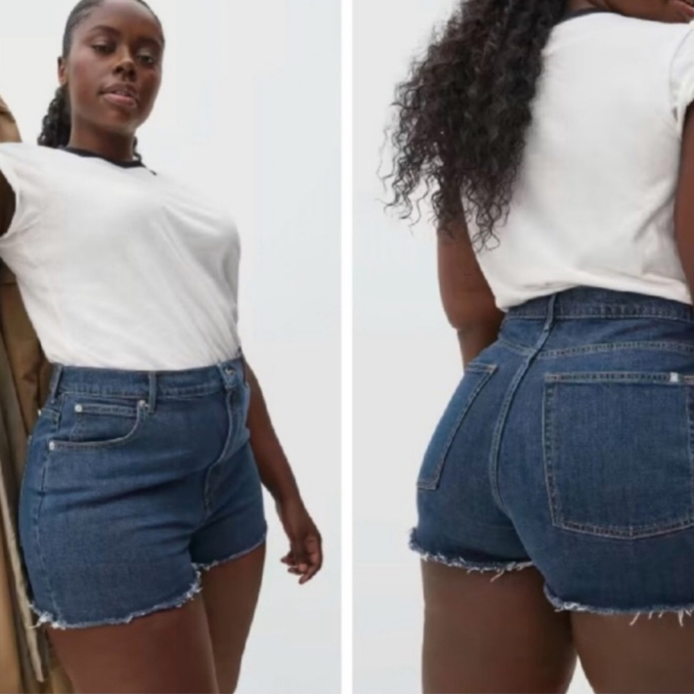 Everlane The Way-High Denim Short Size 30